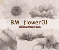 BM_flower01