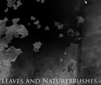 Leaves and naturebrushes