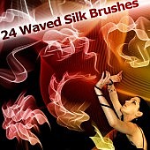 24 Waved Silk Brushes