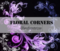 Floral Corners – PSCS brushset