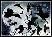 Raven Brushes for photoshop