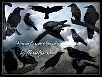 Raven Crow Brushes for photoshop
