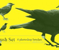 free photoshop Raven Brush Set