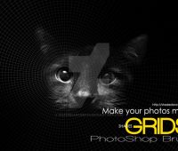 Shades Photoshop Brushes GRIDS 1st by  shadedancer619