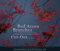 Red Acorn Free brushes