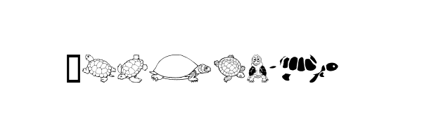 Keyas Turtles