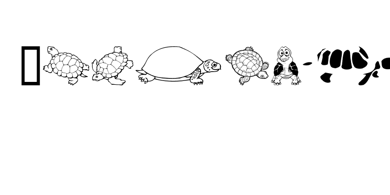 Keyas Turtles