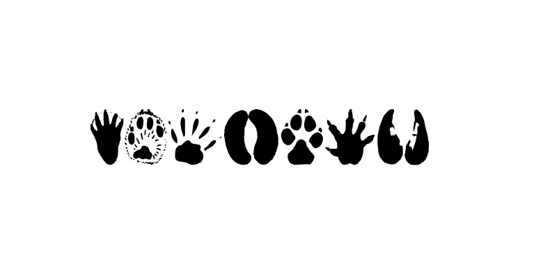 animaltracks