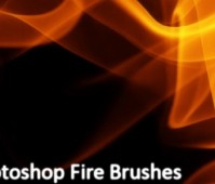 9 Fire brushes