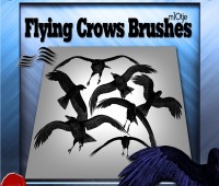 Flying Crows Brushes