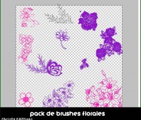 Brushes de Flores By:- CLLQ