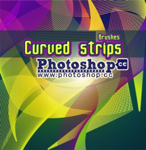 Curved Strip  Brushes ,