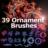 Floral Ornament Brushes