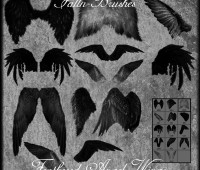 Feathered Angel Wings Brushes