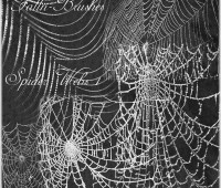 Spider Web Brushes Set 1 photoshop