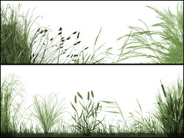 The Grasslands brushes