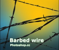 free Barbed Wire Brushes photoshop