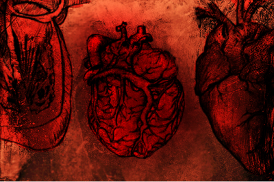 Photoshop Heart Anatomy brushes