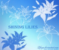 Shining Lilies brushes