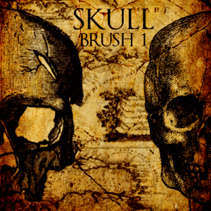 Skull 1 new photoshop brushes