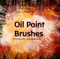 Real  Oil Paint brushes  splatters