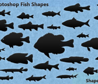 30 Photoshop Fish Shapes – Natural Fish