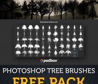 Tree Brushes High Resolution FREE PACK by  Andrei-Oprinca