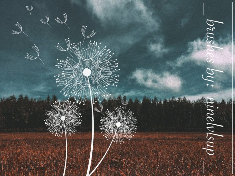 dandelion photoshop free download