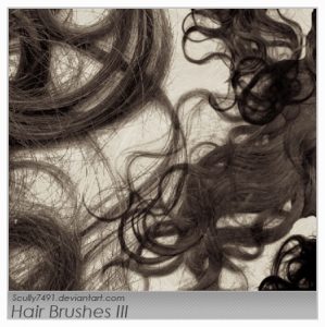 Real Hair Brushes photoshop
