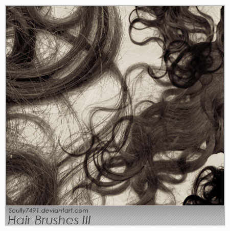 Real Hair Brushes photoshop | Free Photoshop Brushes at Brushez!