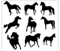 Horse Shapes