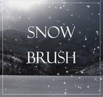 snow brush
