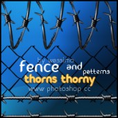 thorny fence